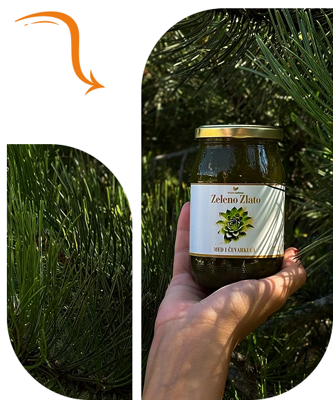 pocetna